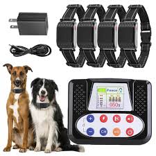 Pet Training Accessories