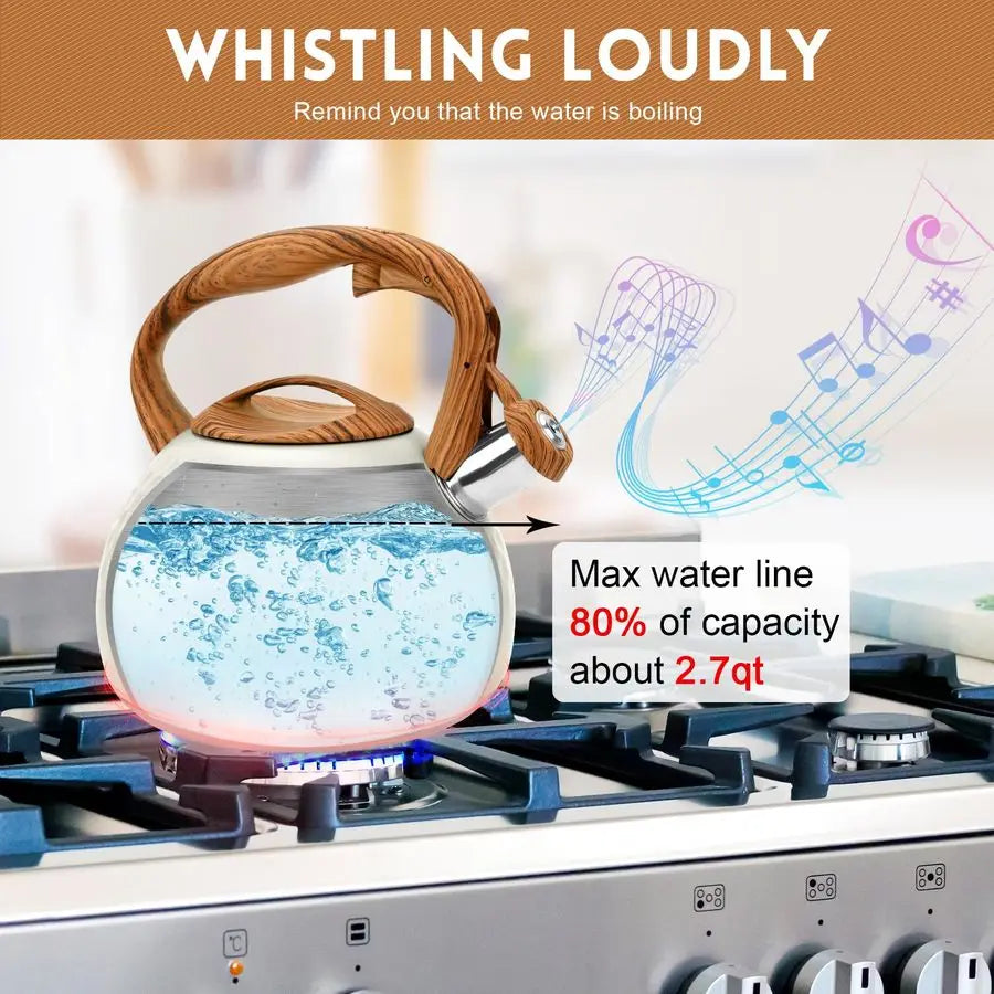 Tea Kettle for Stove Top, Loud Whistling Kettle for Boiling Water Coffee or Milk, 3.1 Quart 3L Heavy Stainless Steel White Kettl